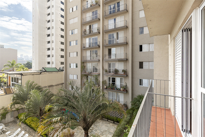 Foto REO1106968