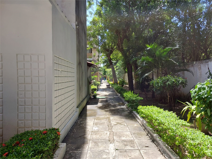 Foto REO1106970