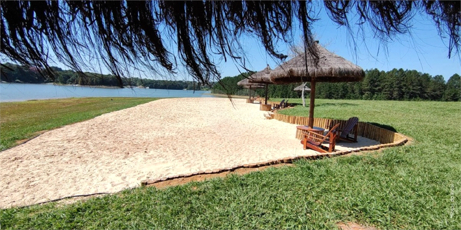 Foto REO1106975