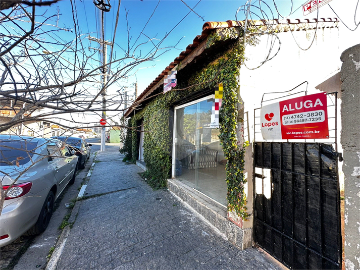 Foto REO1107029