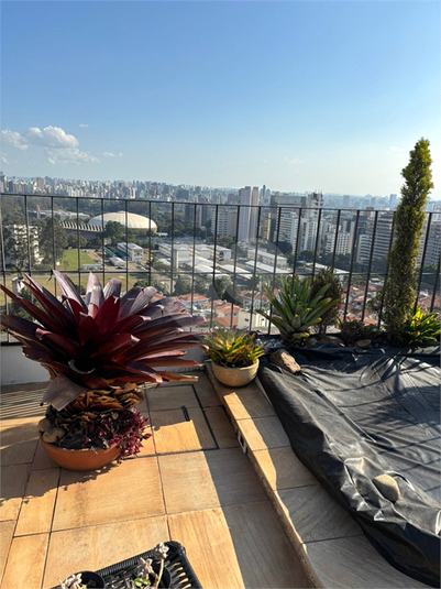 Foto REO1107035