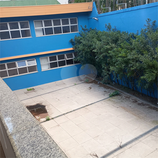 Foto REO1107039