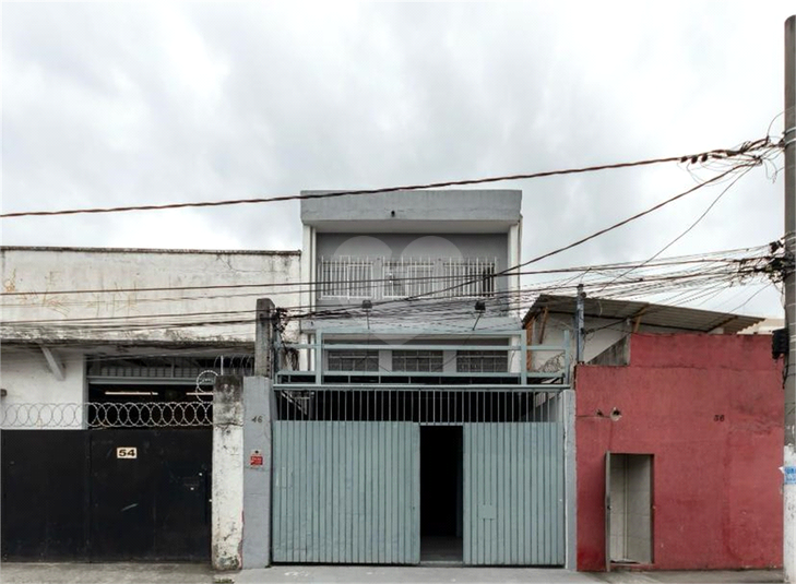 Foto REO1107046