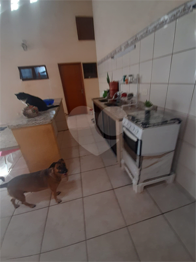 Foto REO1107134