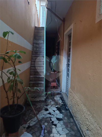 Foto REO1107162