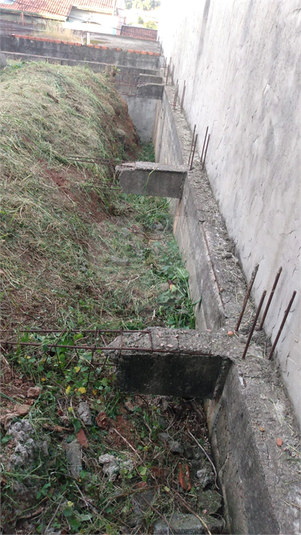 Foto REO1107164