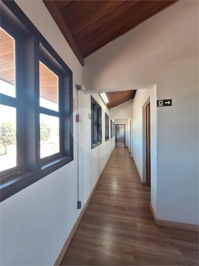 Foto REO1107165