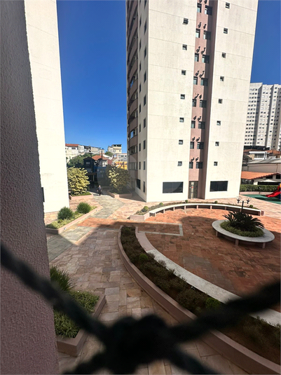 Foto REO1107186