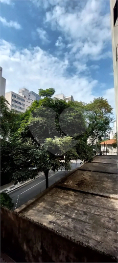 Foto REO1107230