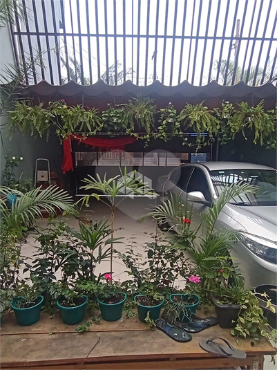 Foto REO1107248