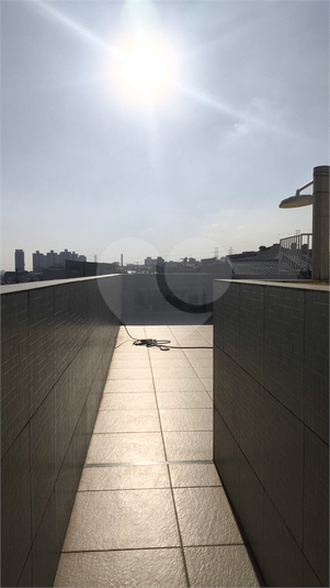 Foto REO1107282