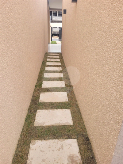 Foto REO1107287