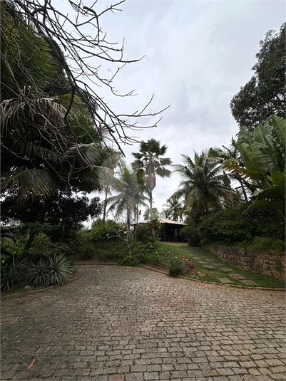 Foto REO1107290