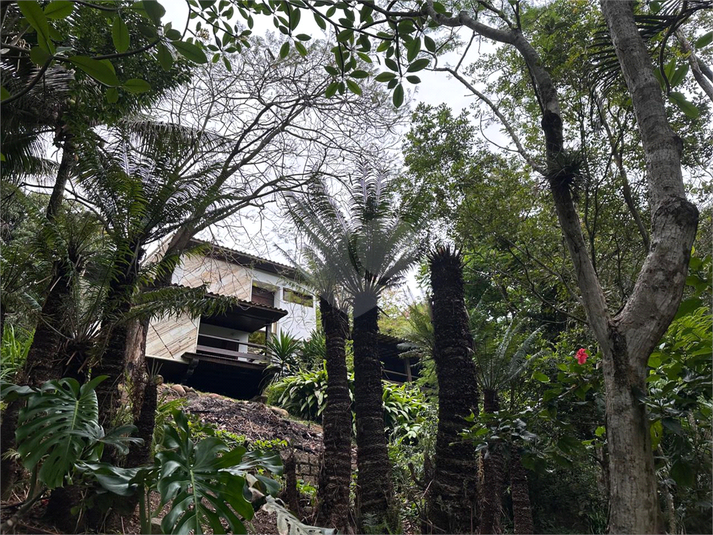 Foto REO1107290