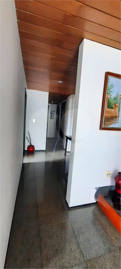 Foto REO1107294