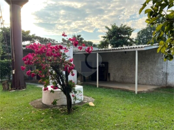 Foto REO1107302