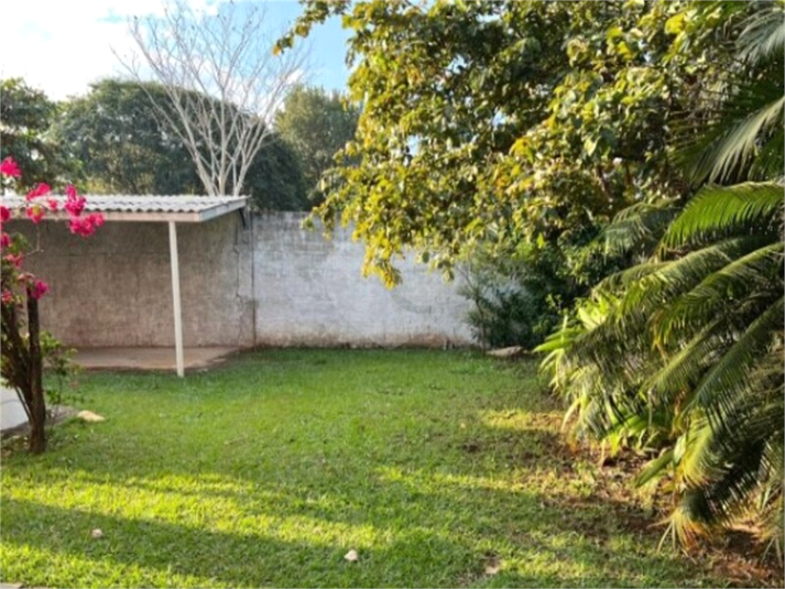 Foto REO1107302