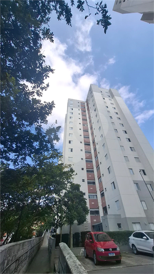 Foto REO1107313
