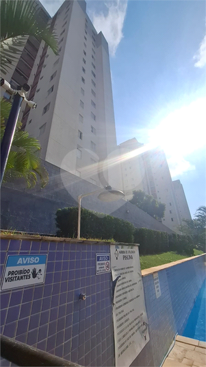 Foto REO1107313