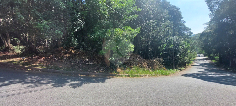 Foto REO1107316