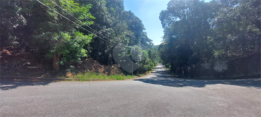 Foto REO1107316