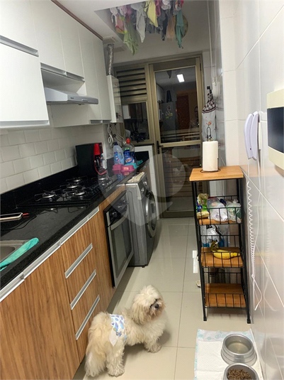 Foto REO1107317