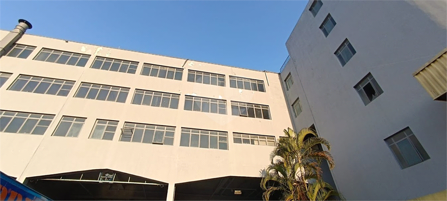 Foto REO1107323