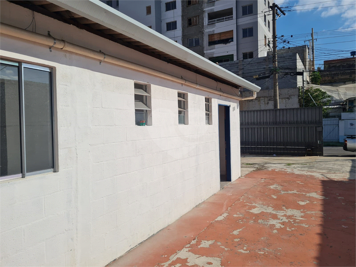 Foto REO1107325