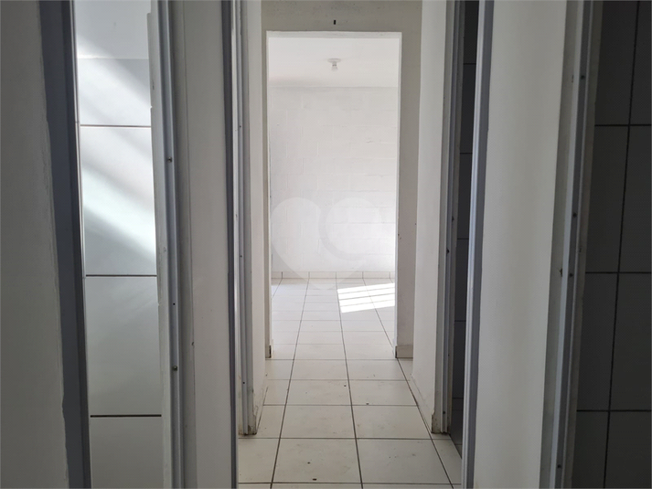 Foto REO1107325