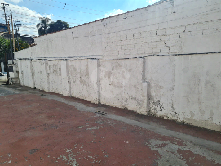 Foto REO1107325