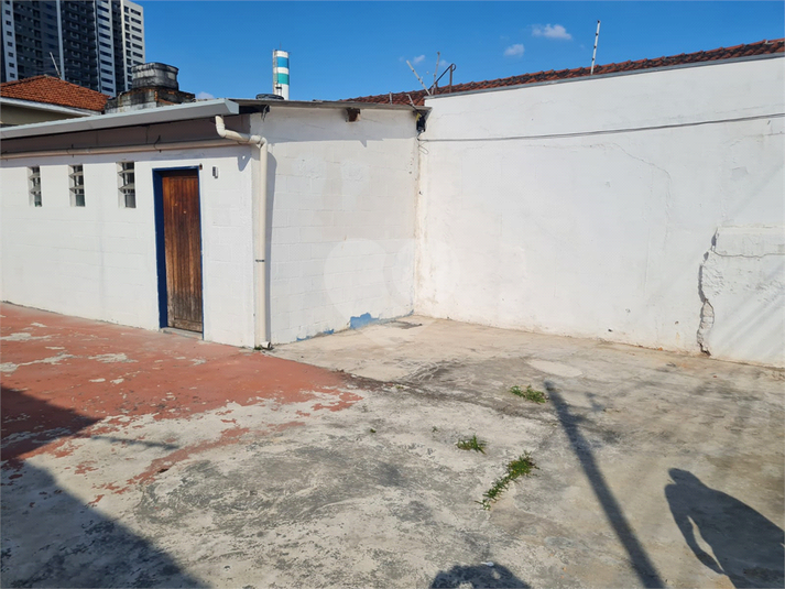 Foto REO1107325