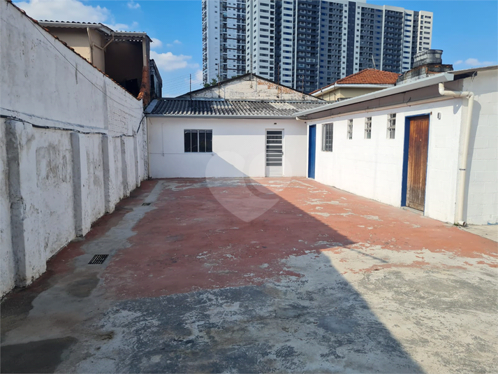 Foto REO1107325
