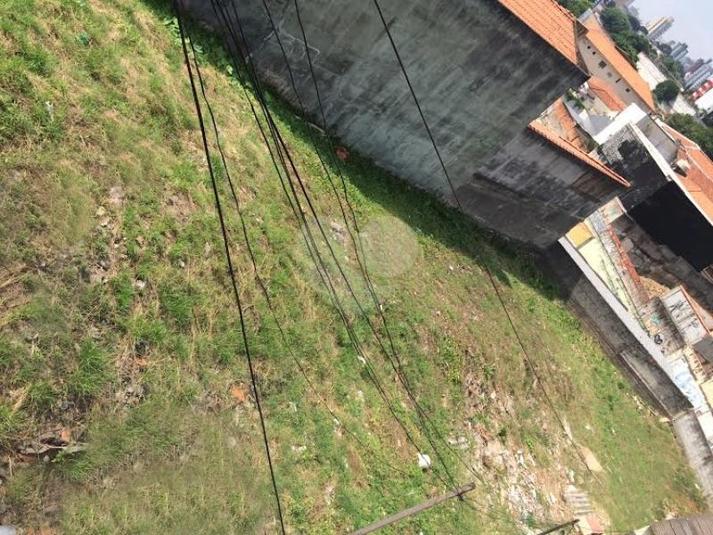 Venda Terreno São Paulo Alto Da Lapa REO110733 3