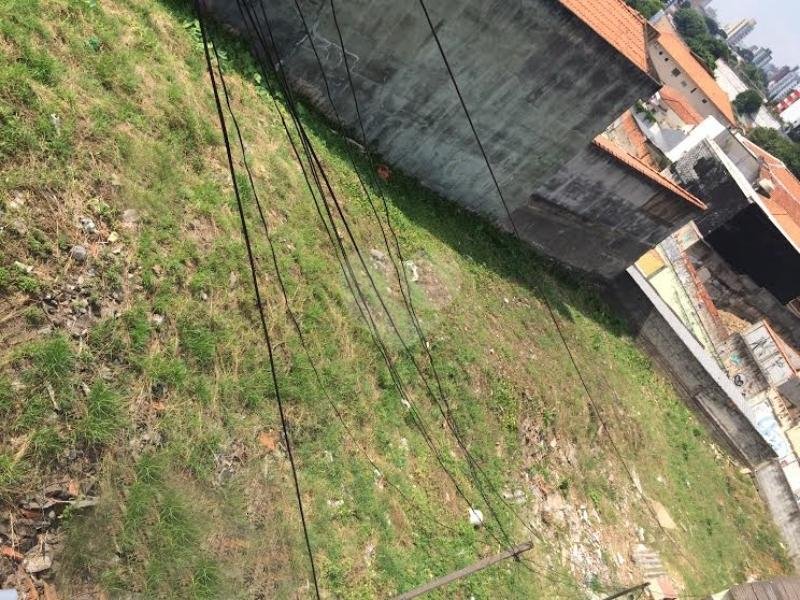 Venda Terreno São Paulo Alto Da Lapa REO110733 1