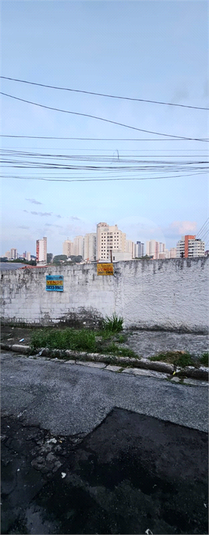 Foto REO110733