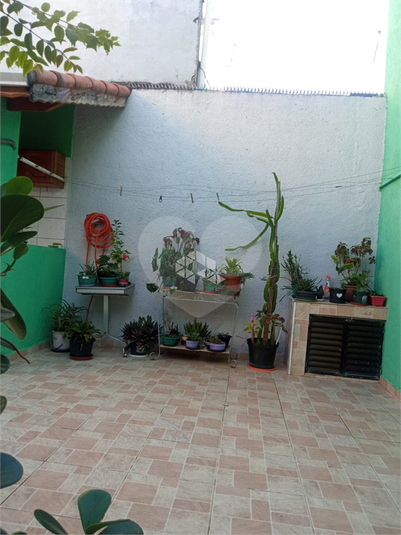 Foto REO1107337