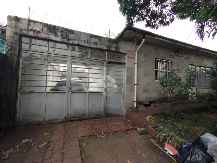 Foto REO1107344