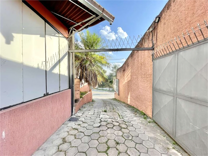 Foto REO1107346