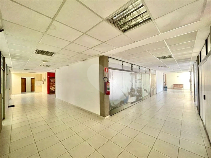 Foto REO1107346