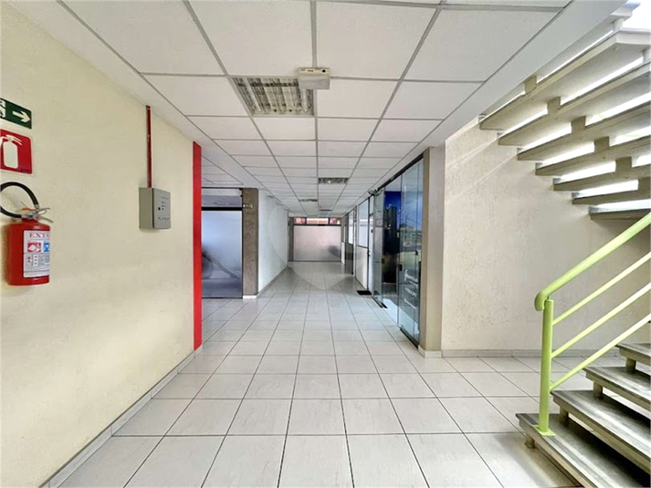 Foto REO1107346