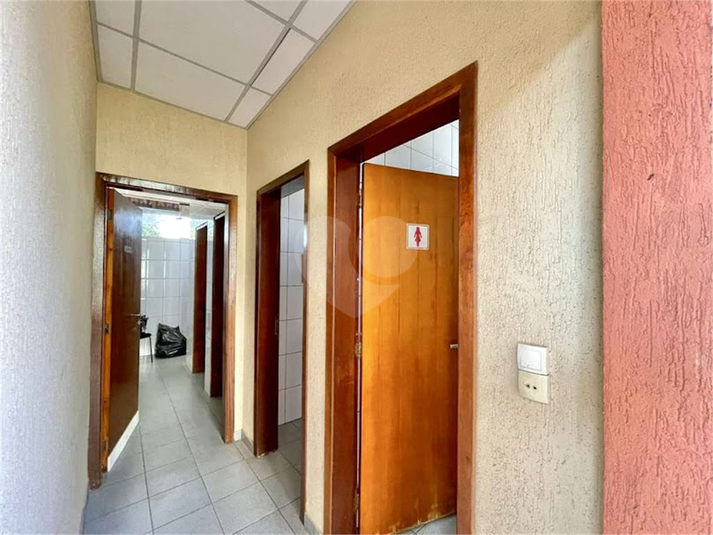 Foto REO1107346