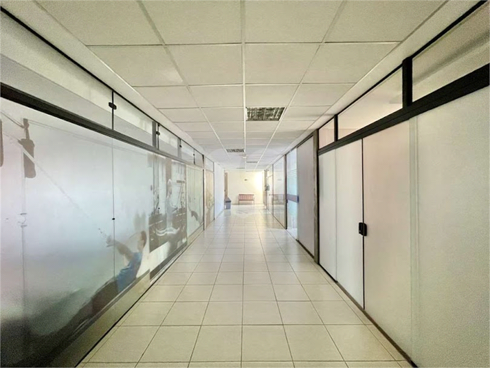 Foto REO1107346