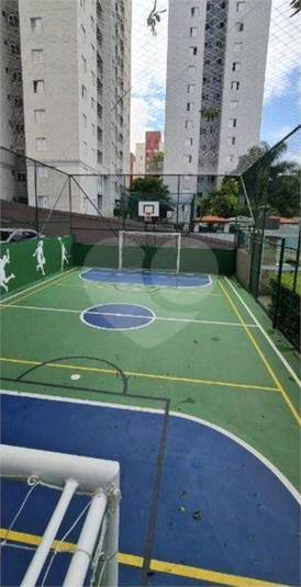 Foto REO1107347