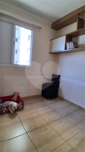Foto REO1107347
