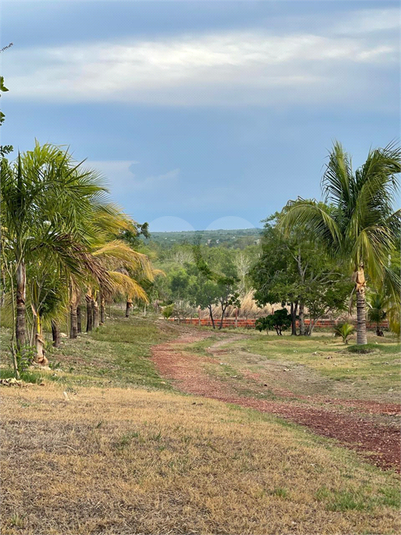 Foto REO1107348