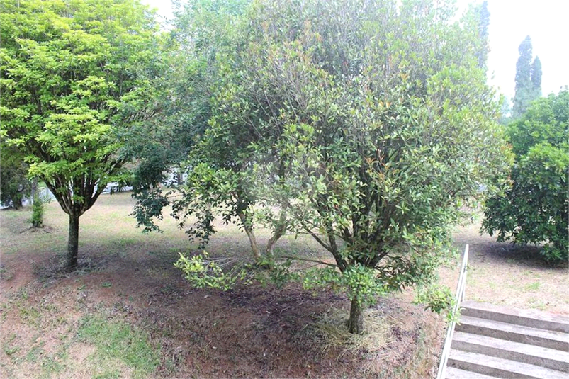 Foto REO1107360