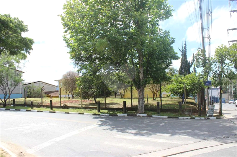 Foto REO1107360