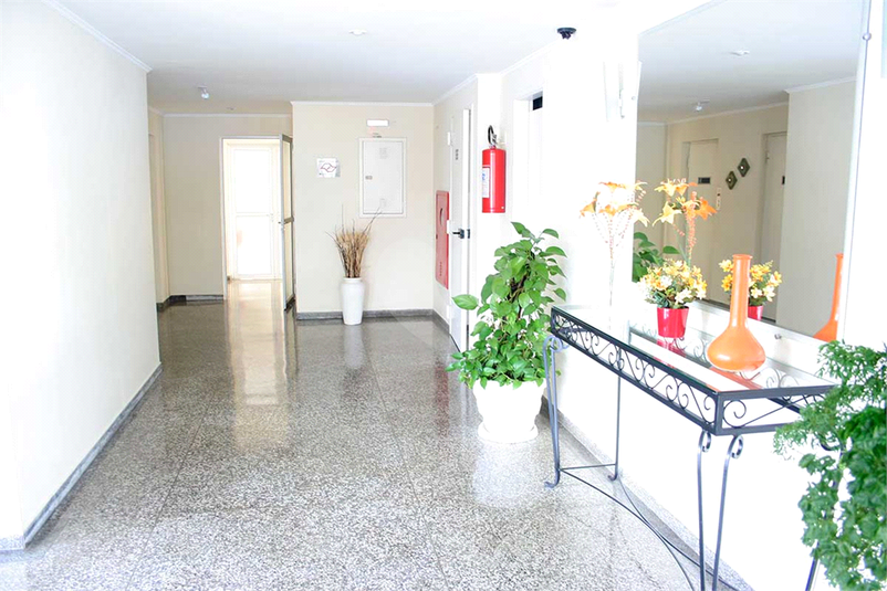 Foto REO1107369