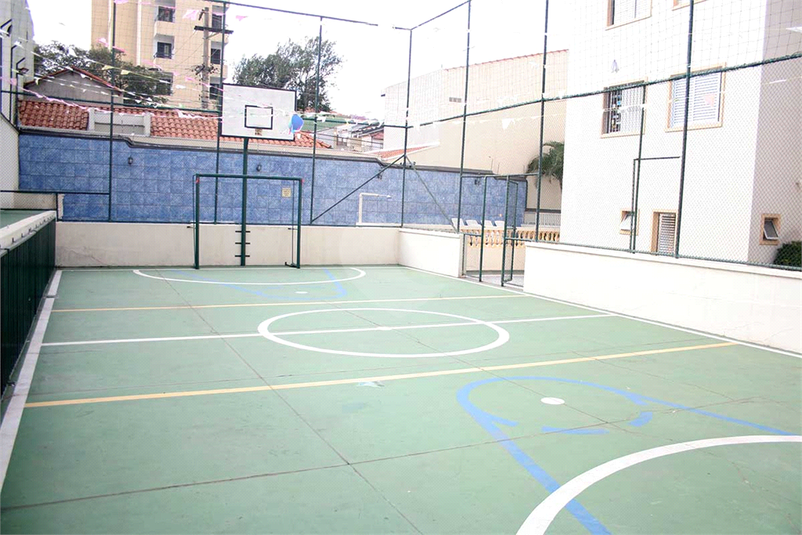 Foto REO1107369