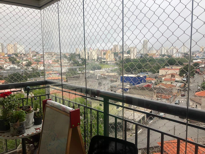 Foto REO1107372